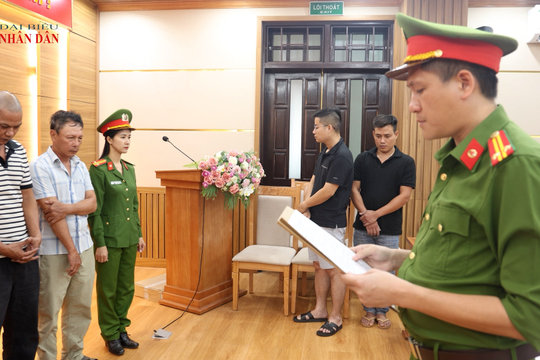 Quảng Trị: Khởi tố nhóm đối tượng tiêu thụ hơn 250 tấn lợn nhiễm dịch tả lợn Châu Phi