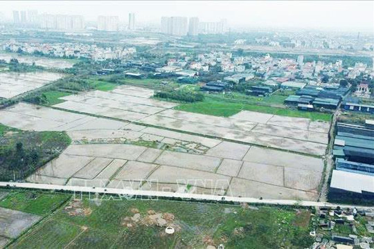 Định giá đất vẫn "kẹt" vì thiếu dữ liệu thị trường