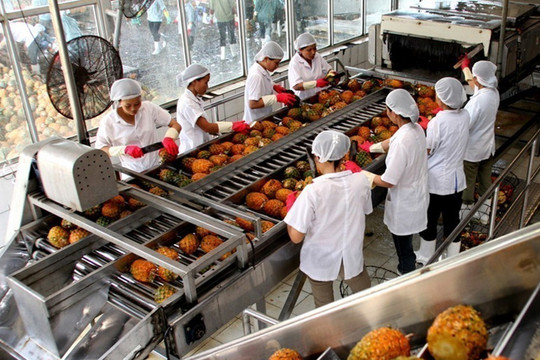 Middle East offers long-term growth potential for Vietnam’s farm produce exports