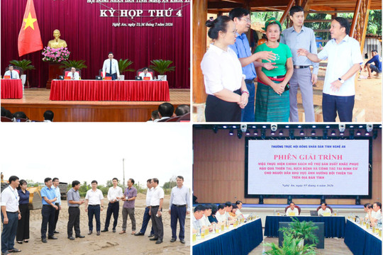 Chủ động chuyển tiếp, tạo đà đổi mới hoạt động HĐND