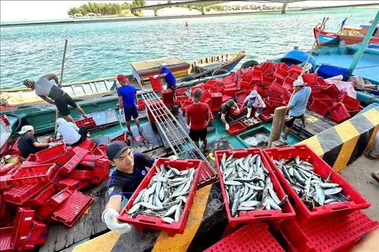 Malaysia maintains fishing vessel licensing to safeguard fisheries resources