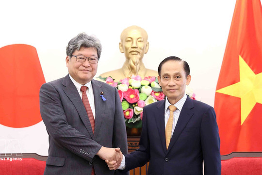 Vietnam, Japan seek to deepen comprehensive strategic partnership