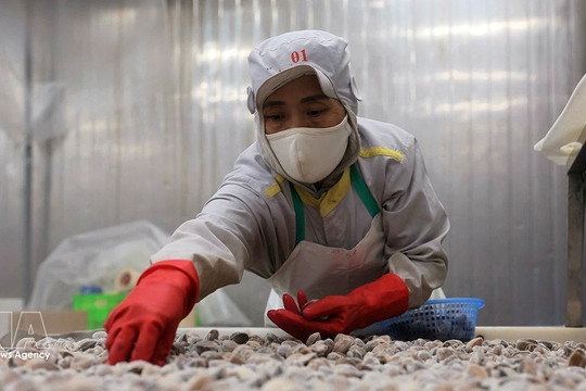 Vietnam steps up export to achieve 550-billion-USD target