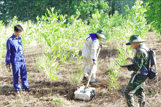 Quang Tri: Ground-penetrating radar deployed to search for mass graves of fallen soldiers in Quang Tri
