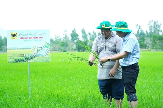 Làm giàu nhờ đổi mới tư duy trên vùng đất phèn