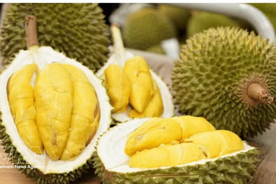 Thailand steps up sales of southern durian