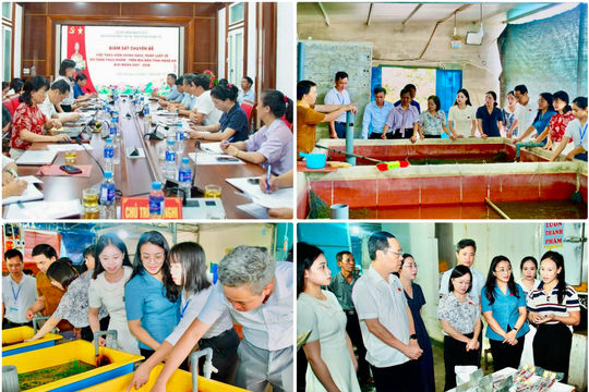 Phân cấp quản lý an toàn thực phẩm đi cùng nguồn lực
