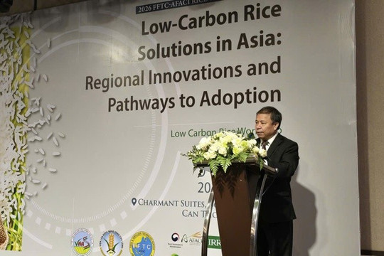 Science-driven solutions key to building low-emission rice sector: experts