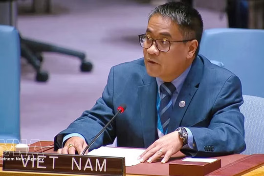 Vietnam calls for global cooperation on natural resource governance for peace, security