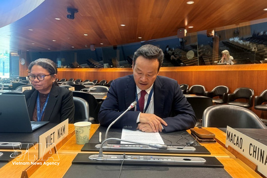Vietnam attends India’s 8th WTO Trade Policy Review