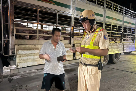 TP. Hồ Chí Minh: Phát hiện hàng trăm con heo có giấy kiểm dịch vẫn dương tính chất cấm Salbutamol