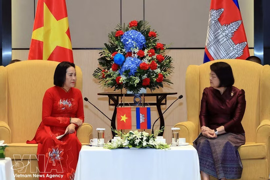 Vietnam, Cambodia promote legislative experience sharing