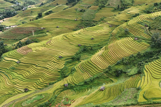Lào Cai: Tiến hành kiểm tra, rà soát toàn diện các cơ sở lưu trú, homestay