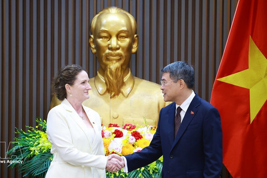 Vietnam, New Zealand have significant scope to expand trade, investment cooperation: PM