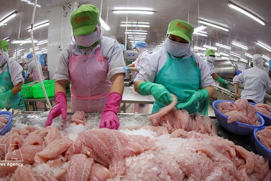 Authorities urged to clear bottlenecks to propel agro-forestry-fishery exports beyond 74 bln USD