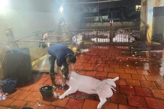 Không để thực phẩm bẩn len lỏi vào bữa ăn: Công an Hà Nội quyết liệt xử lý vi phạm