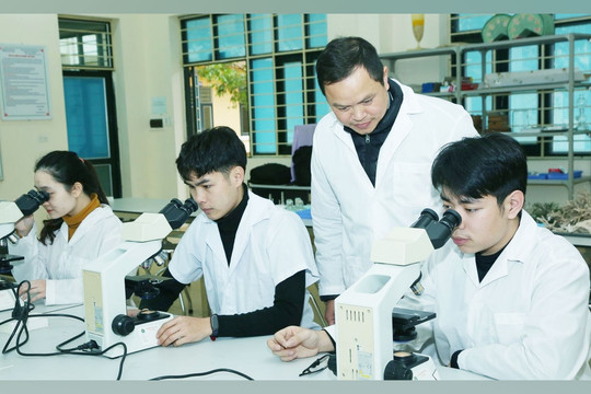 Bổ sung nguồn nhân lực chất lượng cao cho giáo dục