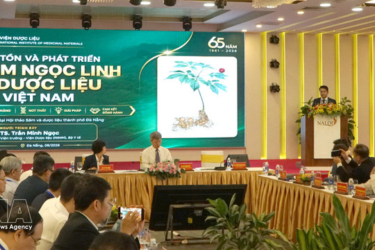 Ngoc Linh ginseng sets sights on global brand recognition