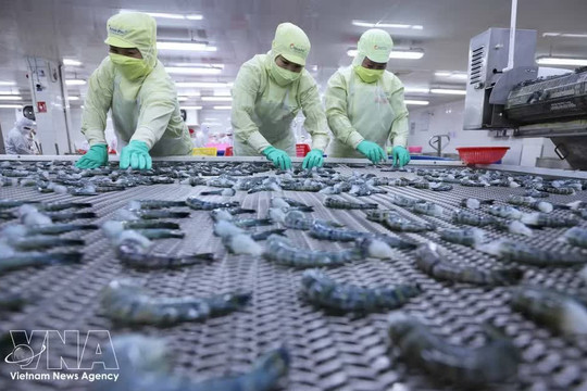 EVFTA deliver tangible gains for Vietnam-EU trade after six years