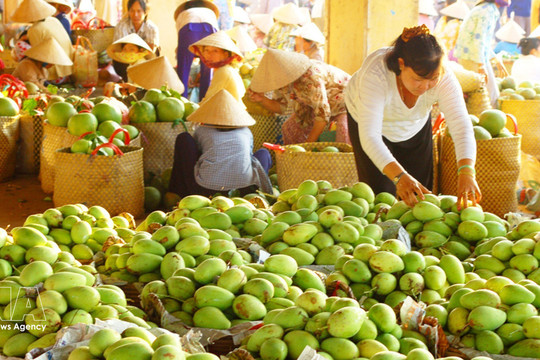 Trade drives growth momentum for Vietnam's economy in seven months