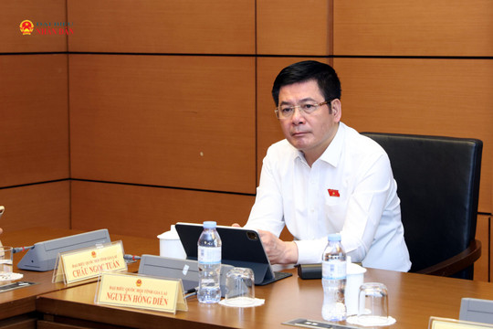 Nghiên cứu kỹ quy định xác định chủ quản nền tảng thương mại điện tử là người khai hải quan