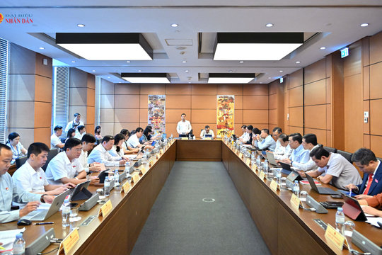 Chiều 3/8/2026, Thảo luận tại tổ 12 ( Vĩnh Long, Điện Biên, Lạng Sơn)