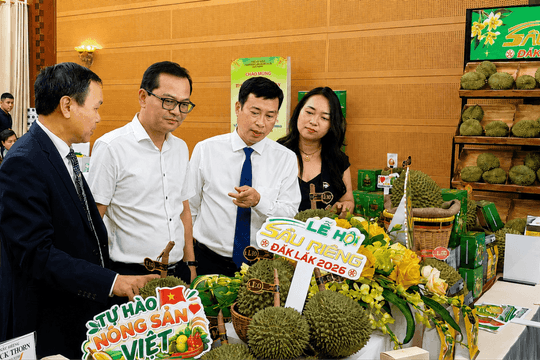Đắk Lắk tạo đòn bẩy cho sầu riêng vươn xa