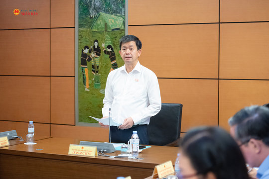 Sáng 4/8/2026: Thảo luận tổ 13 (Quảng Trị và An Giang)