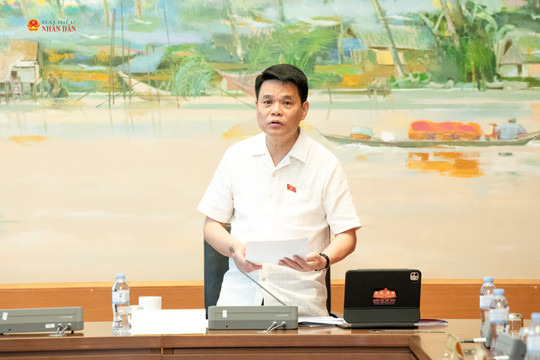 Bảo đảm kiện toàn đầy đủ tổ chức, biên chế của Ban Chỉ huy quân sự cấp xã