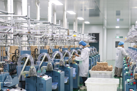 Seven-month economy stays on growth track, eyes double-digit expansion
