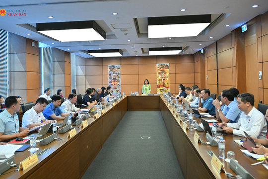 Chiều 4/8/2026, Thảo luận tổ 12 (Vĩnh Long, Điện Biên, Lạng Sơn)