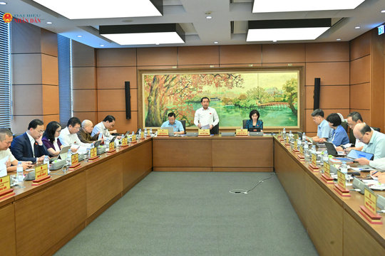 Chiều 4/8/2026, Thảo luận tổ Hà Nội