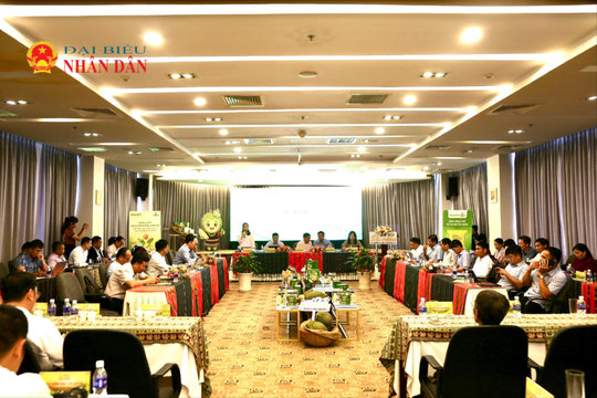 Đắk Lắk kỳ vọng Lễ hội Sầu riêng tạo động lực phát triển ngành hàng và quảng bá hình ảnh địa phương