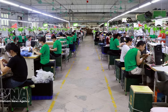 Lawmakers propose stronger safeguards for Vietnamese workers abroad