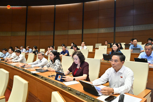 Thiết kế cơ chế quản lý theo mục đích, đối tượng sử dụng và khả năng truy xuất nguồn gốc