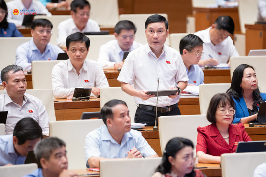 Cắt giảm ngành, nghề đầu tư kinh doanh có điều kiện phải bảo đảm thực chất