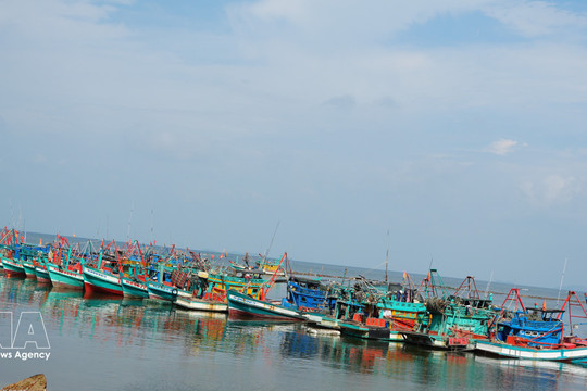 An Giang takes zero-tolerance approach to IUU fishing