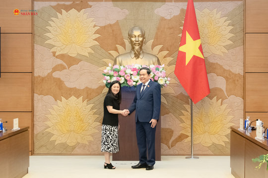 Việt Nam - Hoa Kỳ: Thúc đẩy đà hợp tác kinh tế làm trọng tâm, động lực cho quan hệ song phương