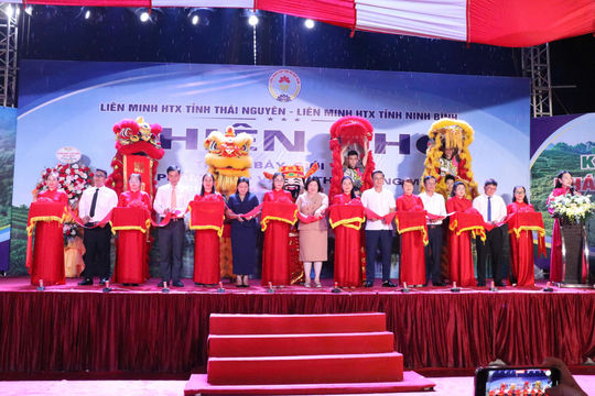 Thái Nguyên: Khai mạc Phiên chợ OCOP và ẩm thực vùng miền, mở rộng kết nối tiêu thụ nông sản