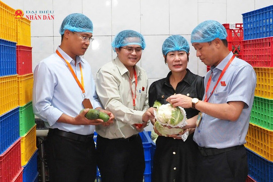 HĐND TP. Hồ Chí Minh khảo sát an toàn thực phẩm suất ăn học đường