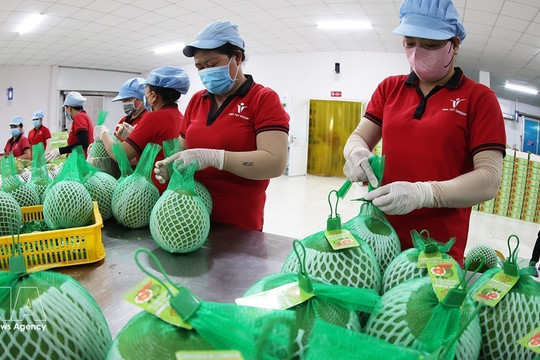 Vietnam races to achieve 74-billion-USD target from agro-forestry-aquatic exports