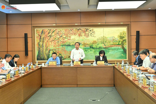 Sáng 6/8/2026, Họp tổ Hà Nội