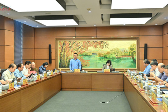 Chiều 6/8/2026, Thảo luận tổ Hà Nội