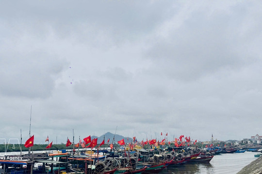 Community-led fisheries groups strengthen IUU fight in Ha Tinh