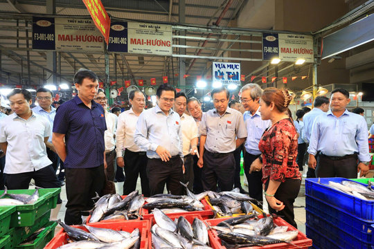 TP. Hồ Chí Minh: Giám sát an toàn thực phẩm từ "mắt xích" nguồn cung đến bếp ăn tập thể