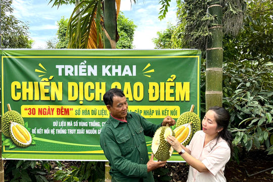 “30 ngày đêm” số hóa dữ liệu, bảo vệ thương hiệu sầu riêng Đắk Lắk