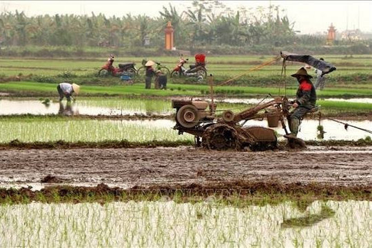 Malaysia moves to protect farmland from industrial expansion