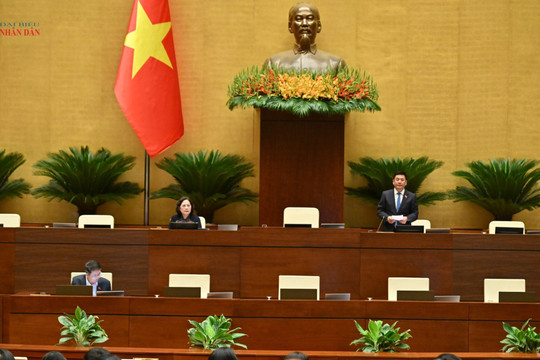 Cắt giảm thủ tục, điều kiện kinh doanh trong khoa học, nông nghiệp và môi trường
