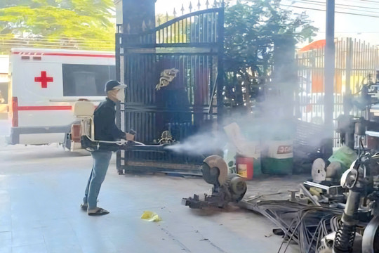 TP. Hồ Chí Minh: Chủ động phòng, chống dịch bệnh trong mùa mưa