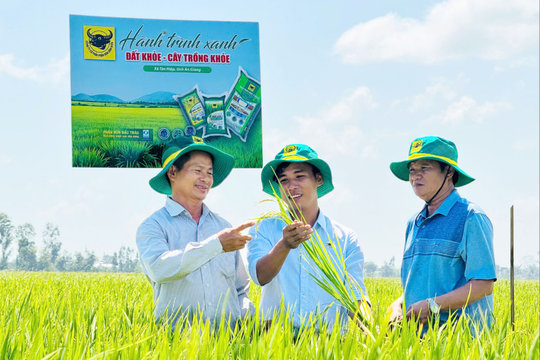 Đất khỏe, cây khỏe, người nông dân thêm niềm tin